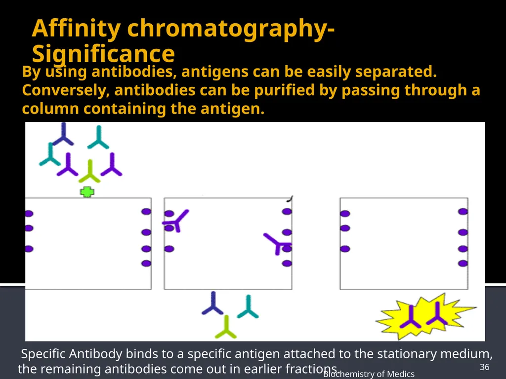 CHROMATOGRAPHY 1 Biochemistry of Medics The word - slide 36 of 44
