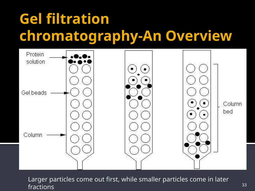 CHROMATOGRAPHY 1 Biochemistry of Medics The word - slide 33 of 44