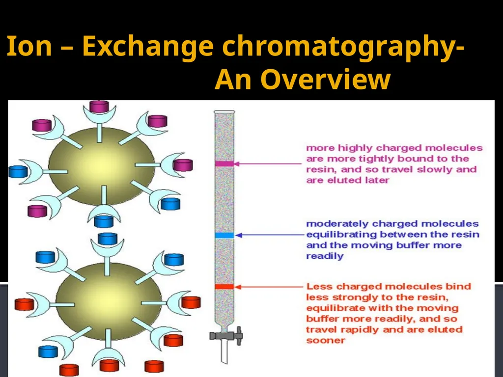 CHROMATOGRAPHY 1 Biochemistry of Medics The word - slide 30 of 44