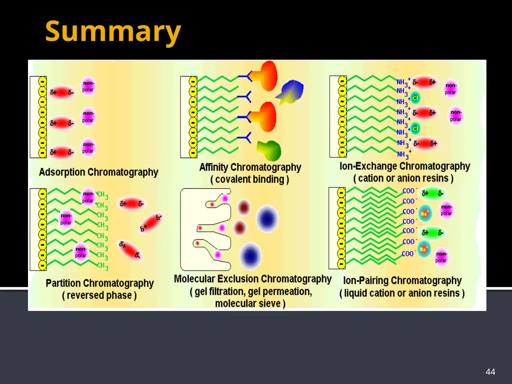 CHROMATOGRAPHY 1 Biochemistry of Medics The word - slide 44 of 44
