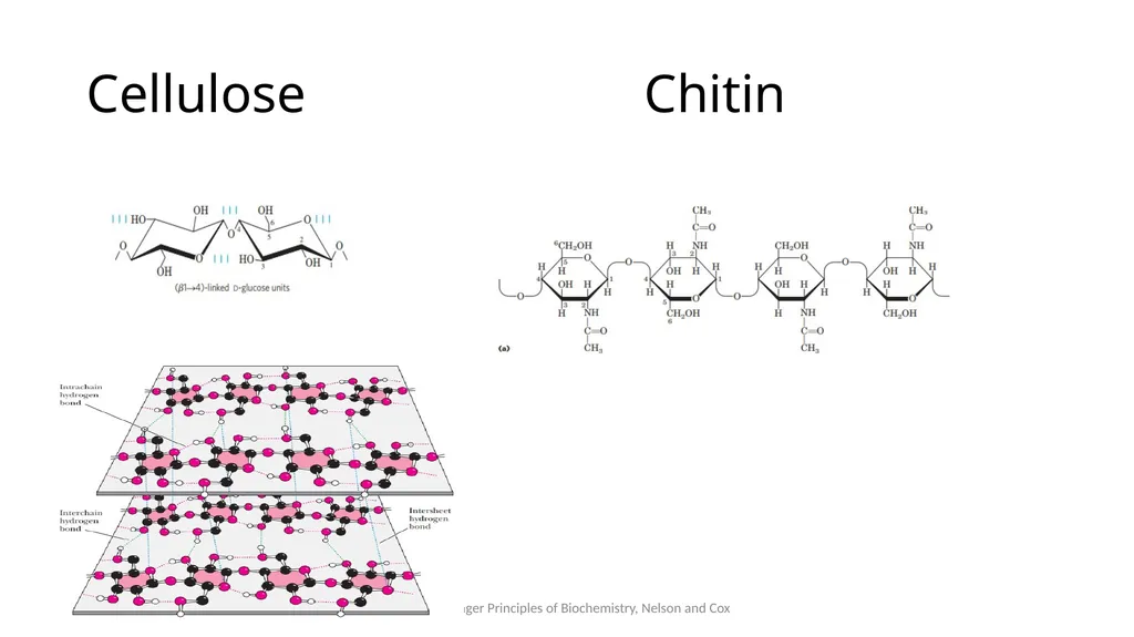 Carbohydrates Carbohydrates are polyhydroxy - slide 17 of 22