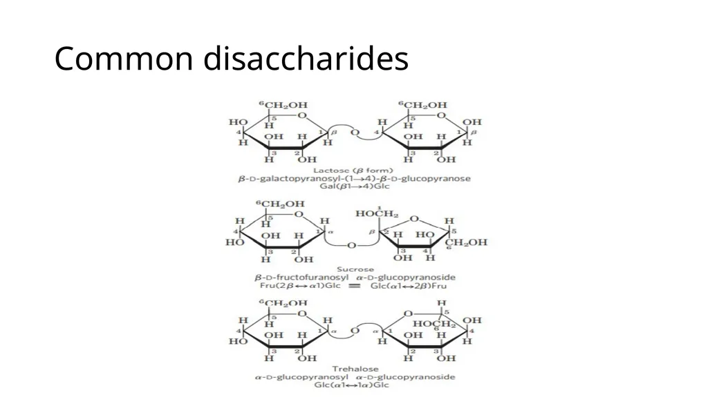 Carbohydrates Carbohydrates are polyhydroxy - slide 13 of 22