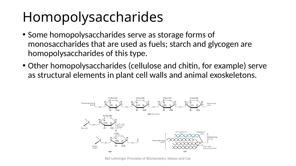 Carbohydrates Carbohydrates are polyhydroxy - slide 15 of 22