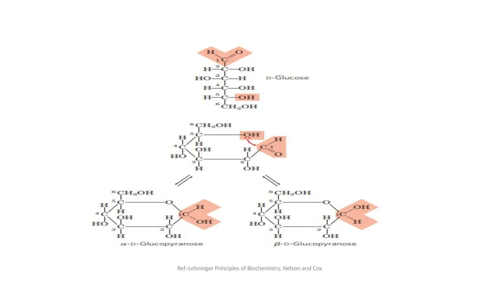 Carbohydrates Carbohydrates are polyhydroxy - slide 8 of 22