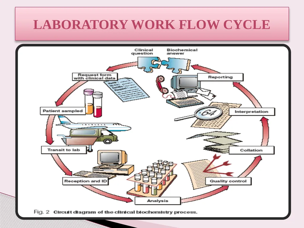 Introduction to Clinical biochemistry Lecture : 1 - slide 19 of 44