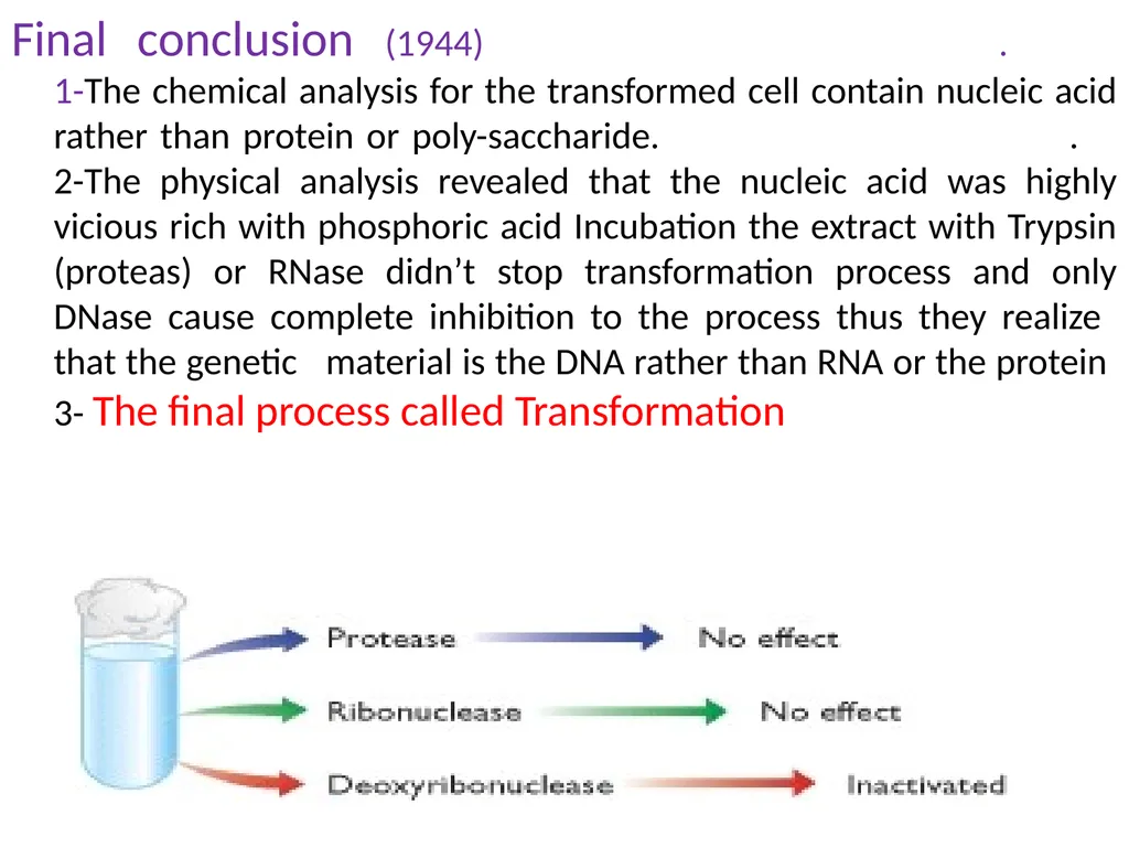 Molecular biology first and second lectures - slide 10 of 21