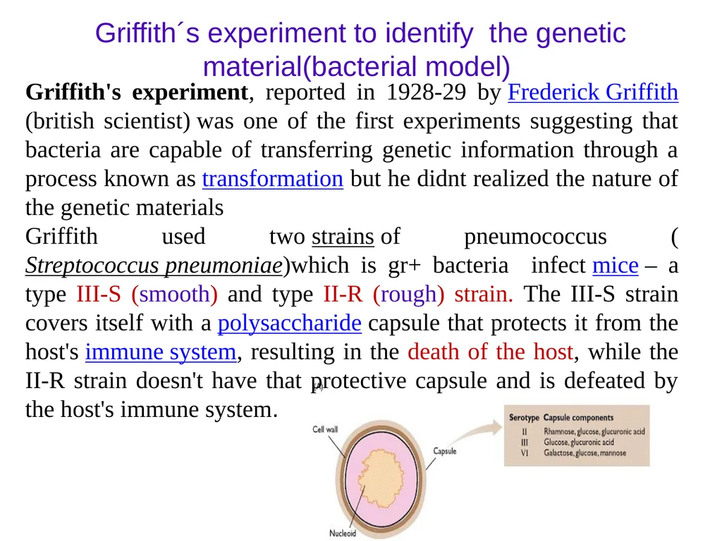 Molecular biology first and second lectures - slide 3 of 21