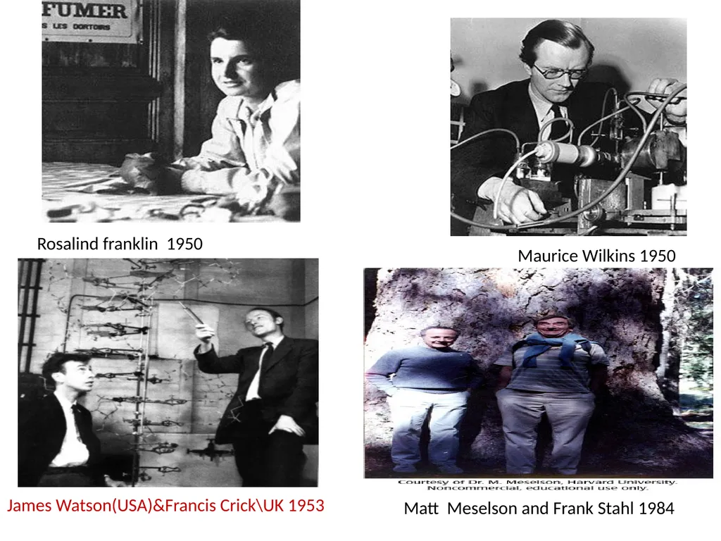Molecular biology first and second lectures - slide 17 of 21