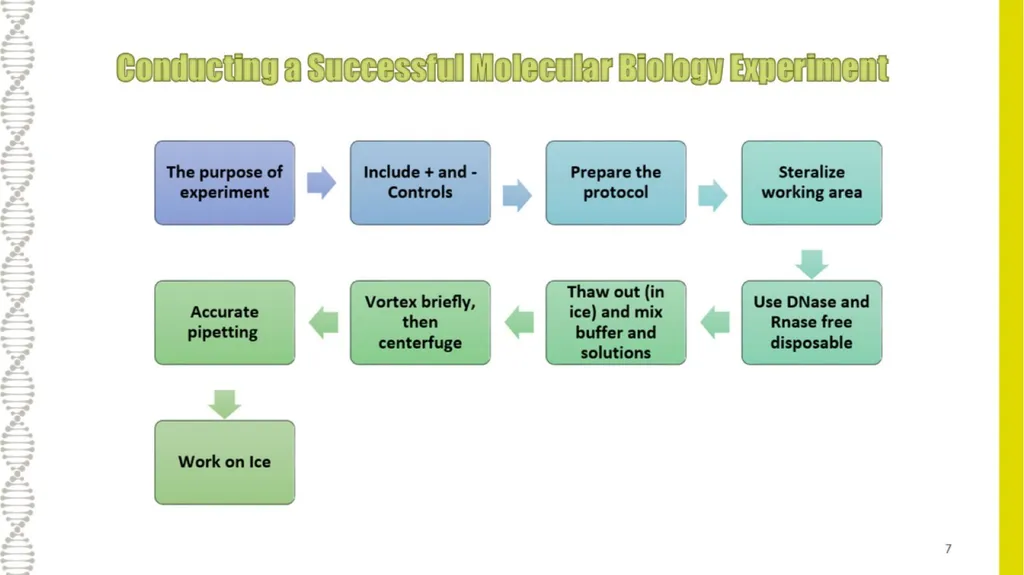 What is Molecular Biology ? Understanding - slide 7 of 11