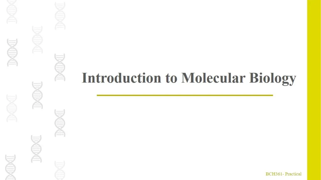 What is Molecular Biology ? Understanding - slide 1 of 11