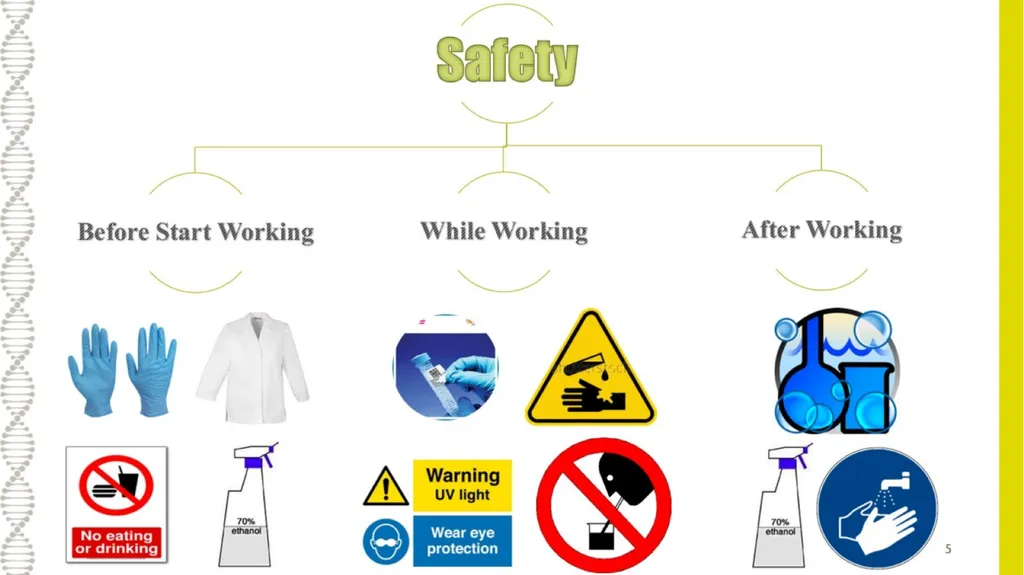 What is Molecular Biology ? Understanding - slide 5 of 11