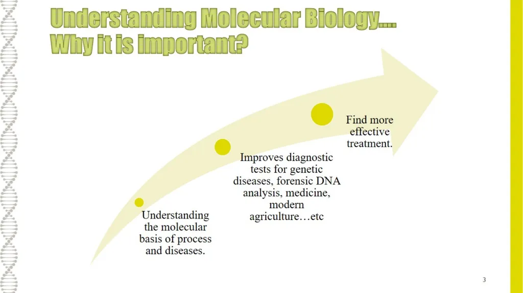 What is Molecular Biology ? Understanding - slide 3 of 11