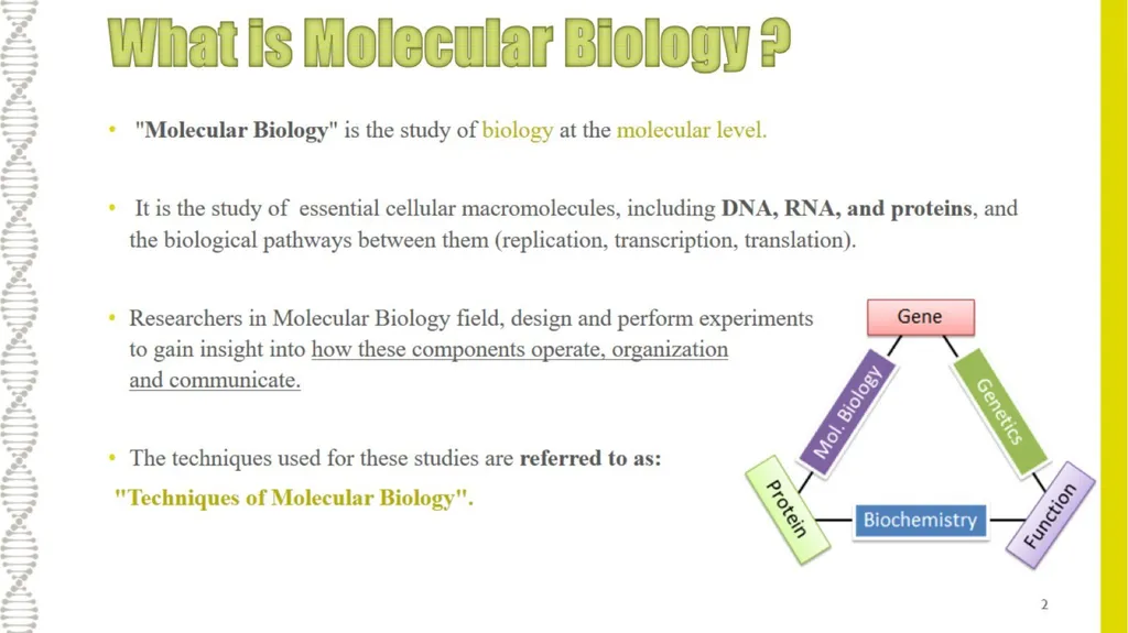 What is Molecular Biology ? Understanding - slide 2 of 11
