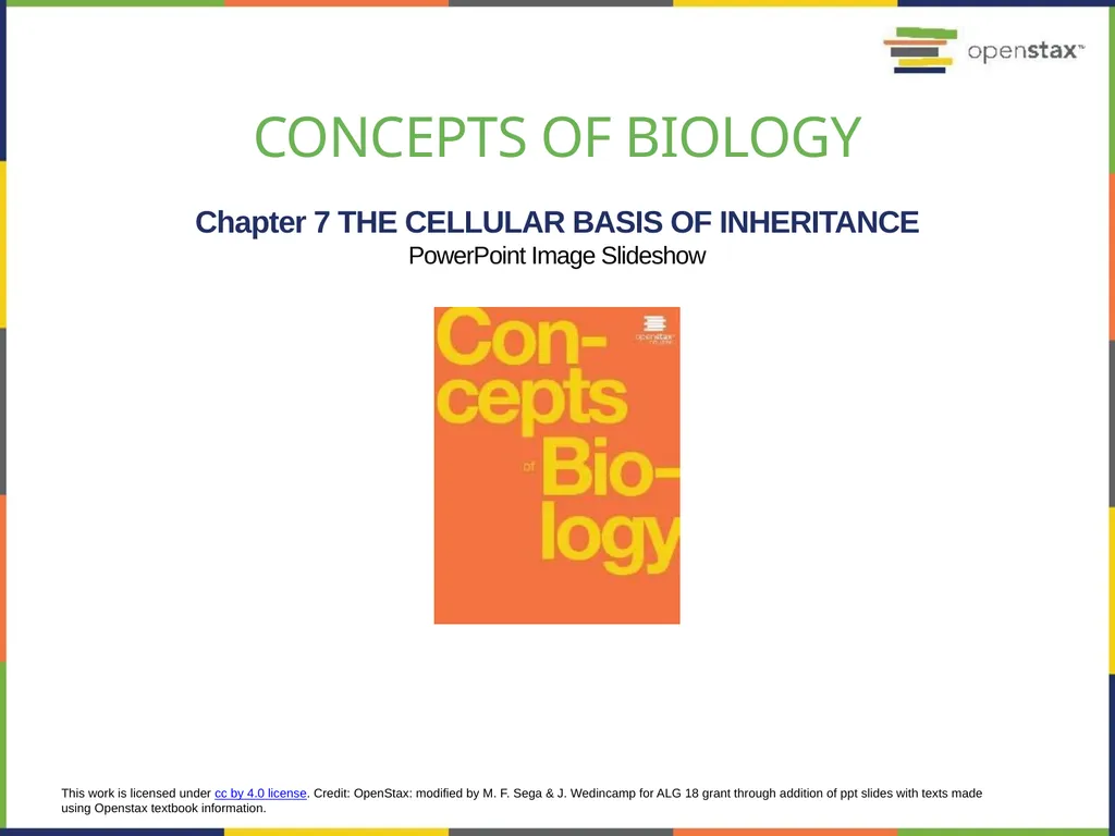 Chapter 7 THE CELLULAR BASIS OF INHERITANCE - slide 1 of 31