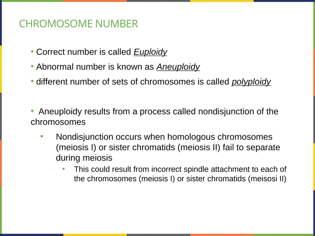 Chapter 7 THE CELLULAR BASIS OF INHERITANCE - slide 24 of 31