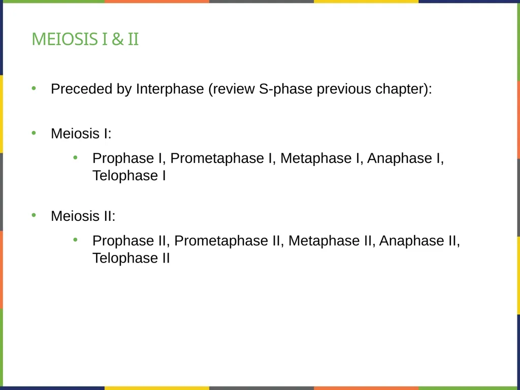 Chapter 7 THE CELLULAR BASIS OF INHERITANCE - slide 11 of 31