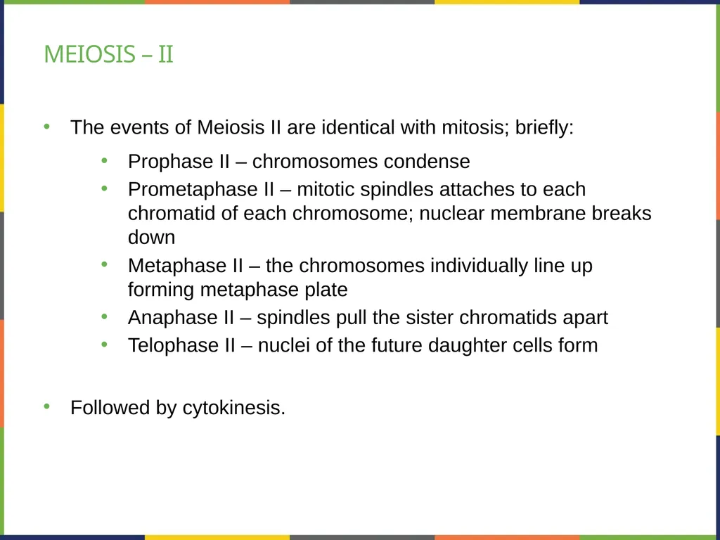 Chapter 7 THE CELLULAR BASIS OF INHERITANCE - slide 18 of 31