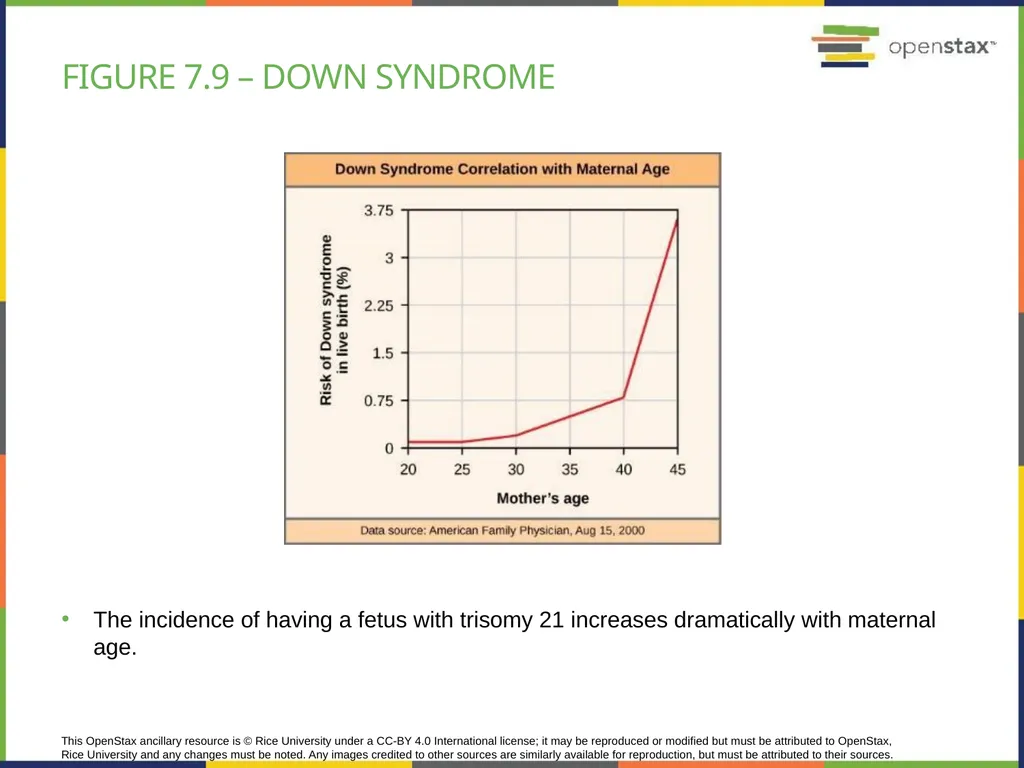 Chapter 7 THE CELLULAR BASIS OF INHERITANCE - slide 27 of 31