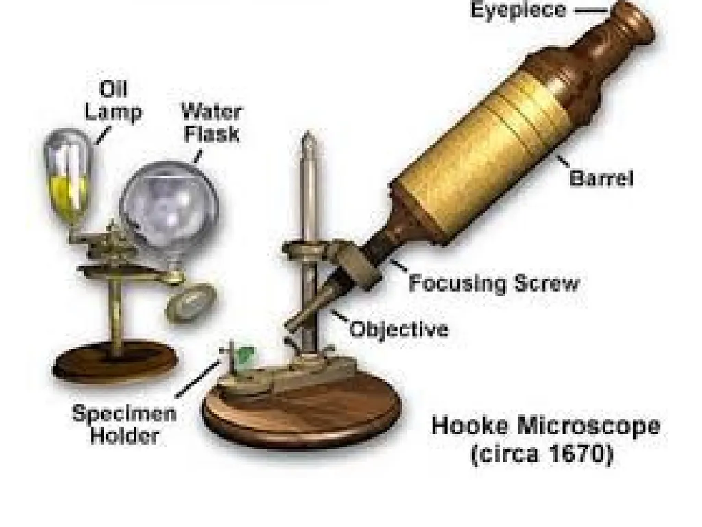 Cell biology BSc1 Sem 2 Introduction Invention of - slide 3 of 12