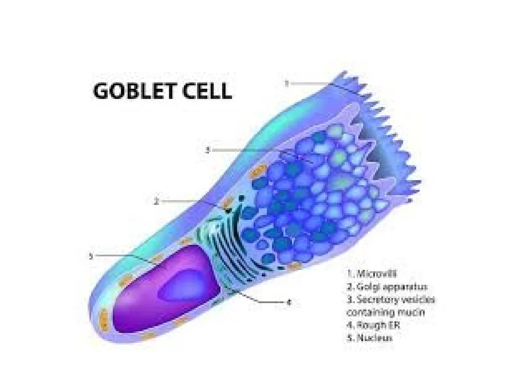 Cell biology BSc1 Sem 2 Introduction Invention of - slide 9 of 12