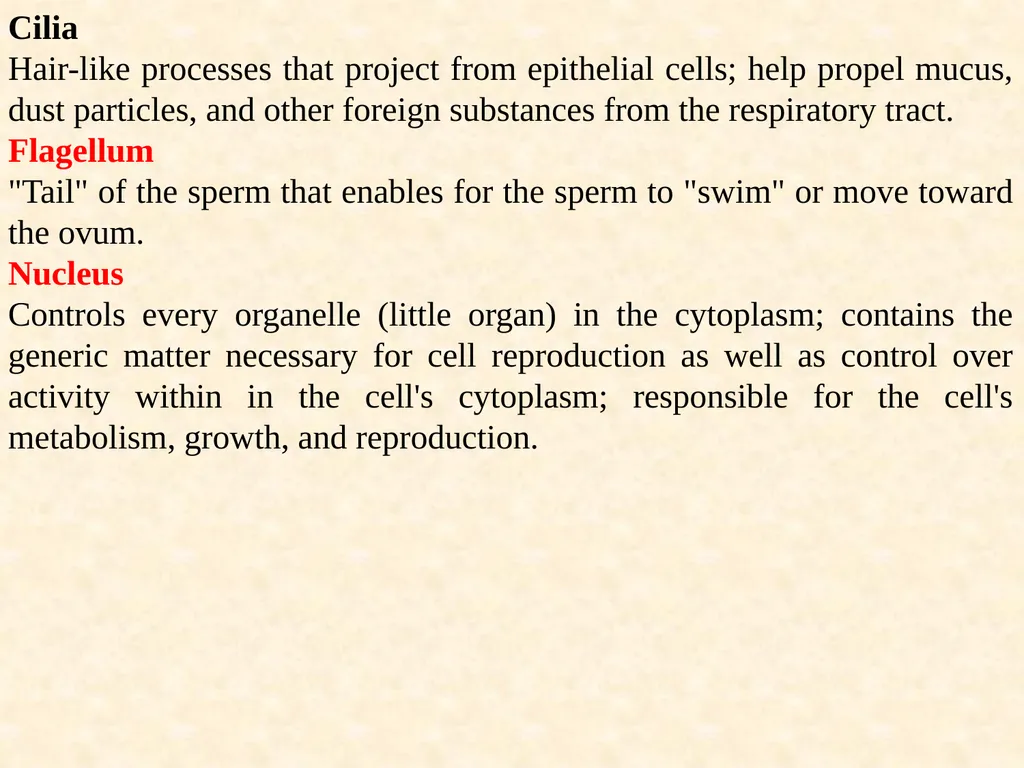 The cell (نظري) Dr. israa Hussein lec 1- - slide 20 of 30