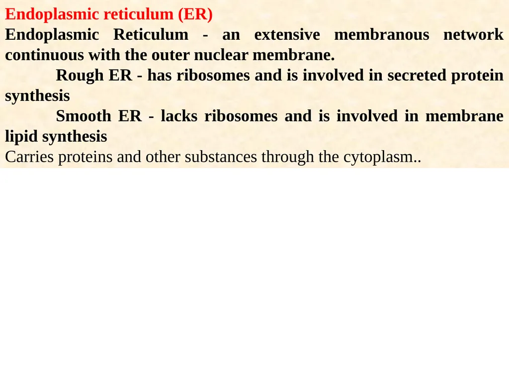 The cell (نظري) Dr. israa Hussein lec 1- - slide 18 of 30