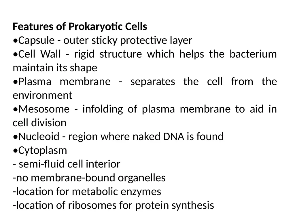 The cell (نظري) Dr. israa Hussein lec 1- - slide 12 of 30