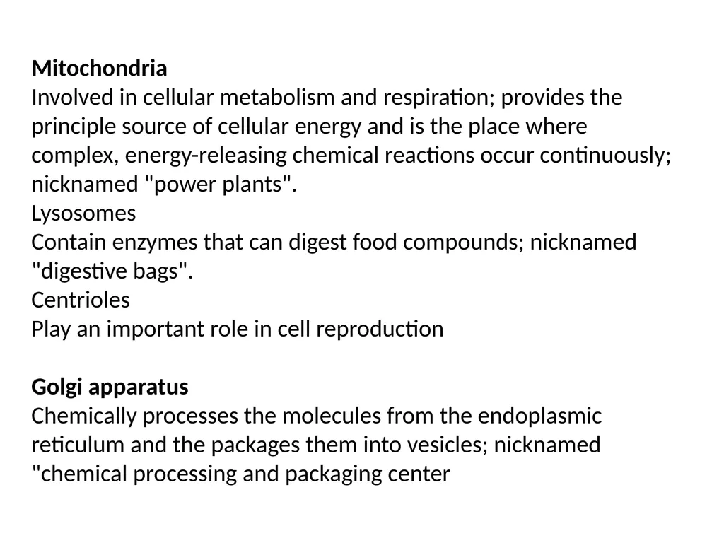 The cell (نظري) Dr. israa Hussein lec 1- - slide 19 of 30