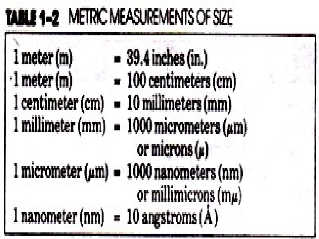 The cell (نظري) Dr. israa Hussein lec 1- - slide 29 of 30