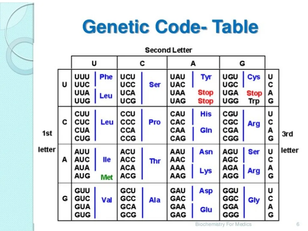The cell (نظري) Dr. israa Hussein lec 1- - slide 5 of 30