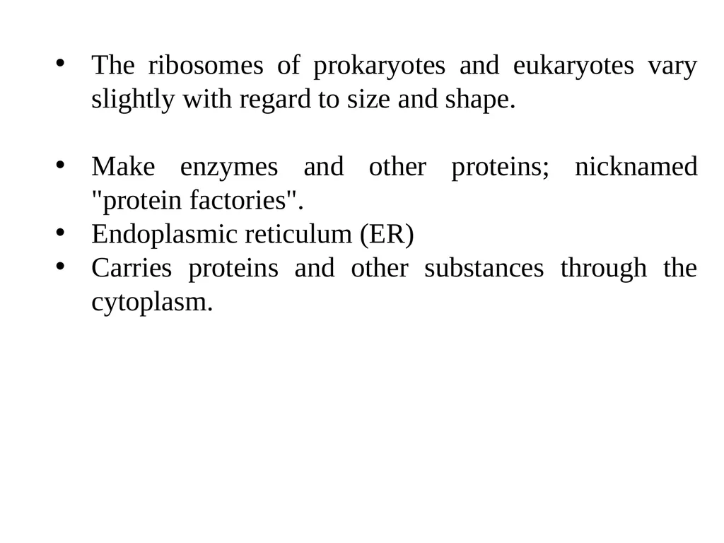 The cell (نظري) Dr. israa Hussein lec 1- - slide 17 of 30