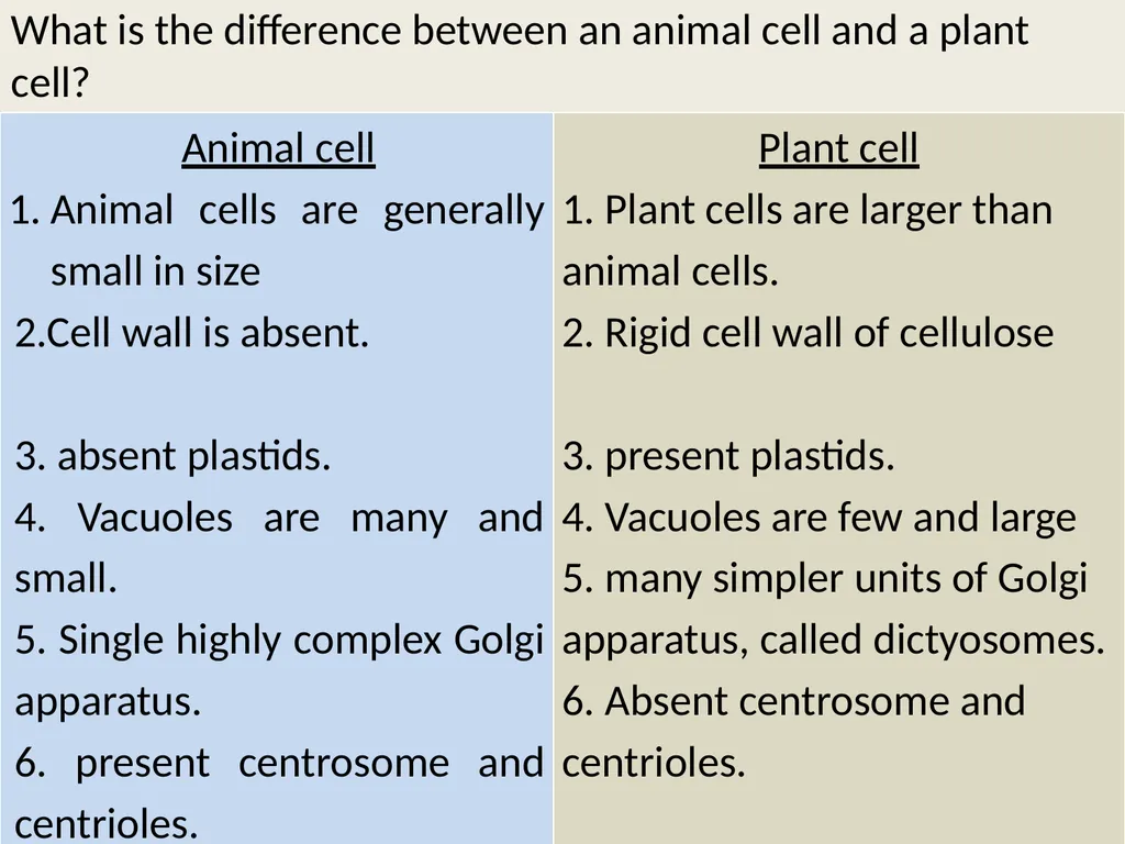The cell (نظري) Dr. israa Hussein lec 1- - slide 24 of 30
