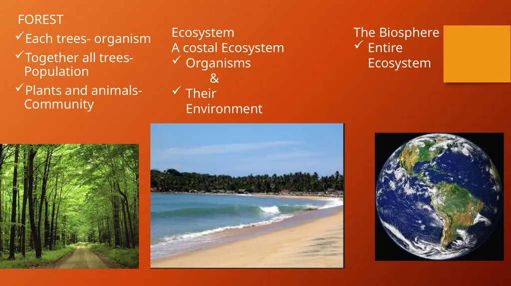 Ecology and Environment LIFE DOES NOT OCCUR IN A - slide 8 of 10
