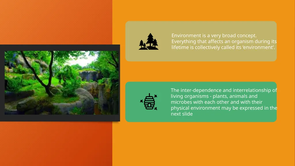 Ecology and Environment LIFE DOES NOT OCCUR IN A - slide 7 of 10