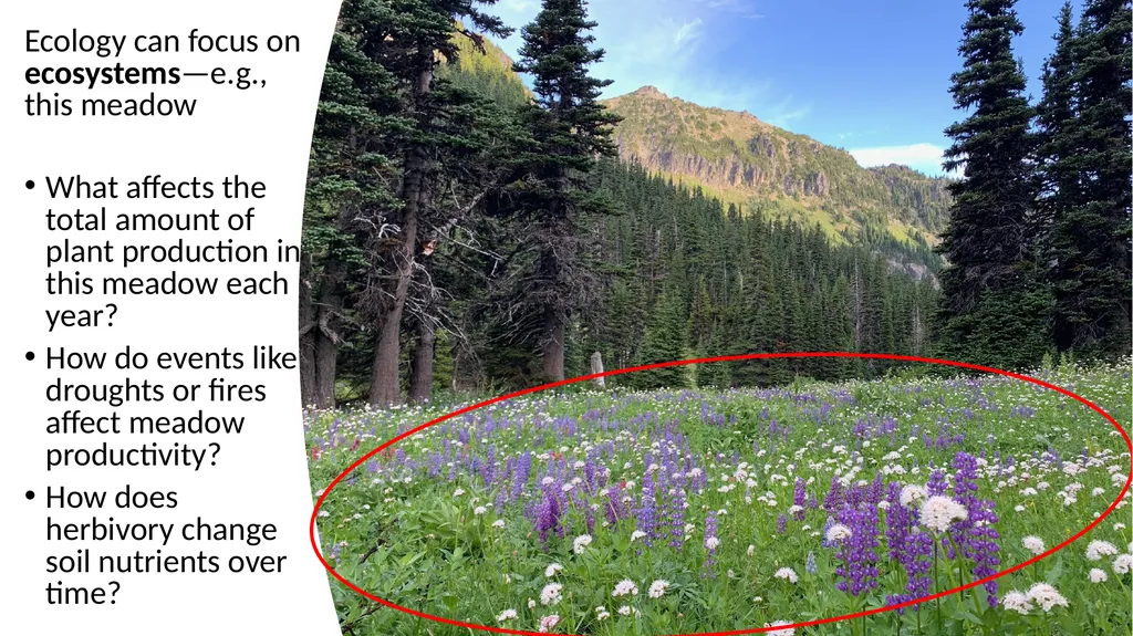Introduction: What Is Ecology? By: Alec W. - slide 13 of 18