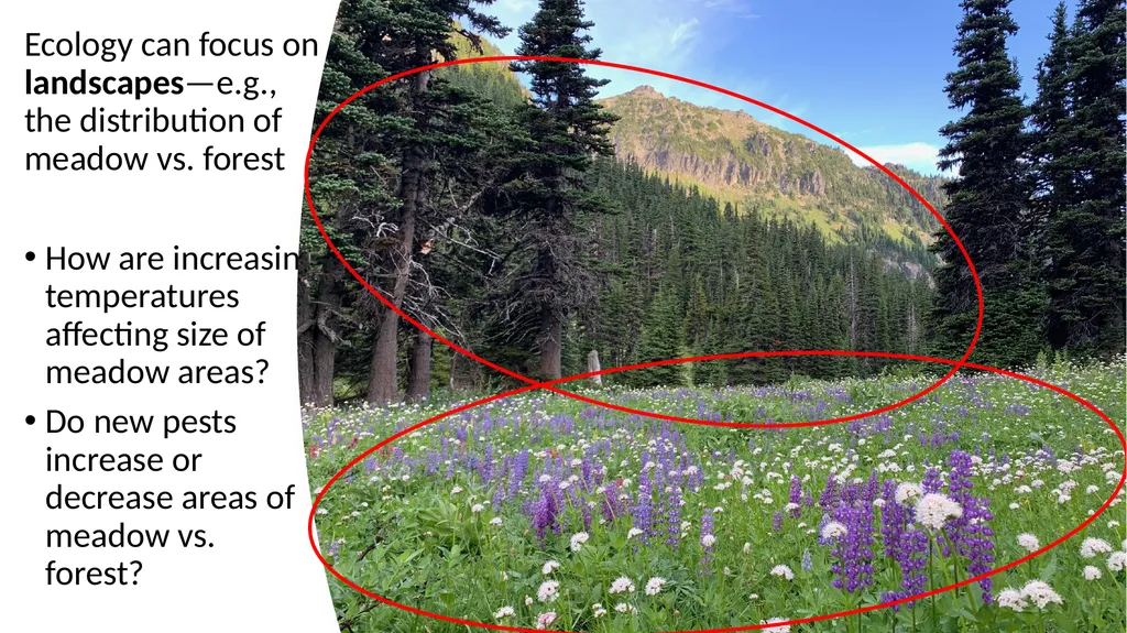 Introduction: What Is Ecology? By: Alec W. - slide 15 of 18