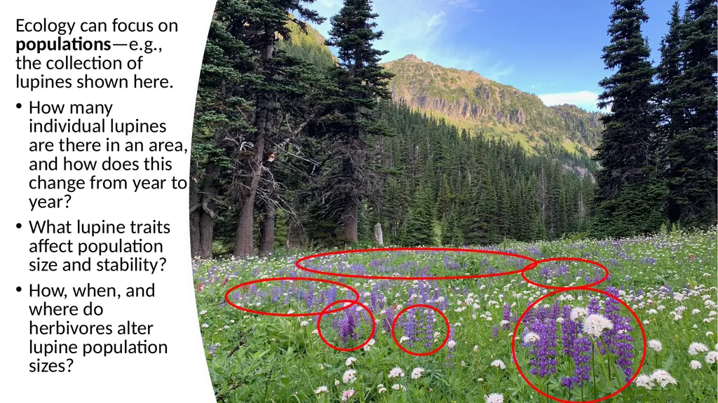 Introduction: What Is Ecology? By: Alec W. - slide 9 of 18