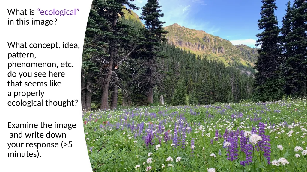Introduction: What Is Ecology? By: Alec W. - slide 2 of 18