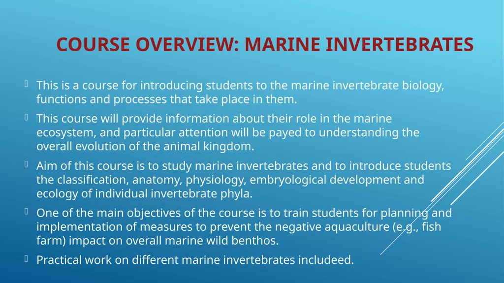 MARINE INVERTEBRATES Animals that do not have a - slide 6 of 6