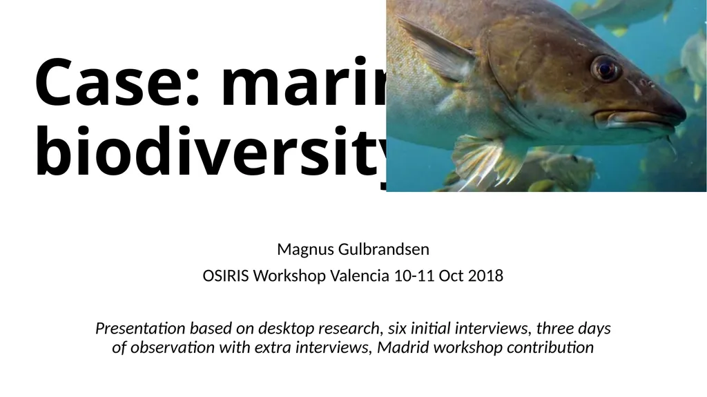 Case: marine biodiversity Magnus Gulbrandsen - slide 1 of 18