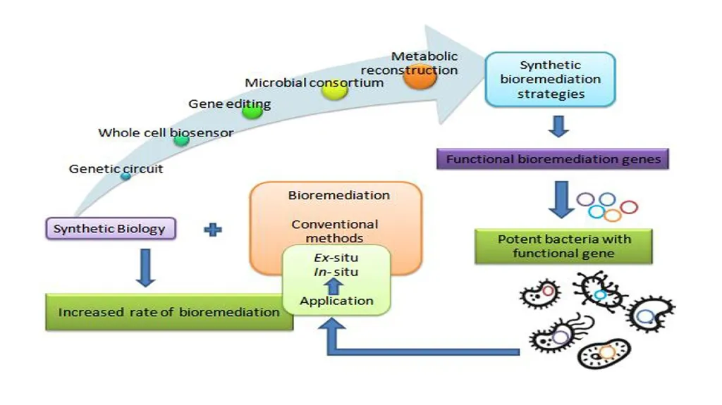 Bioremediation / Fourth grade / Biology Dr. Kadhim - slide 12 of 12