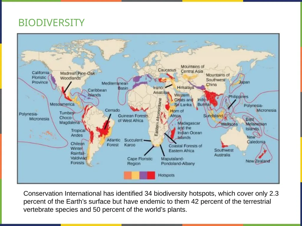 Chapter 47 CONSERVATION BIOLOGY AND BIODIVERSITY - slide 8 of 21