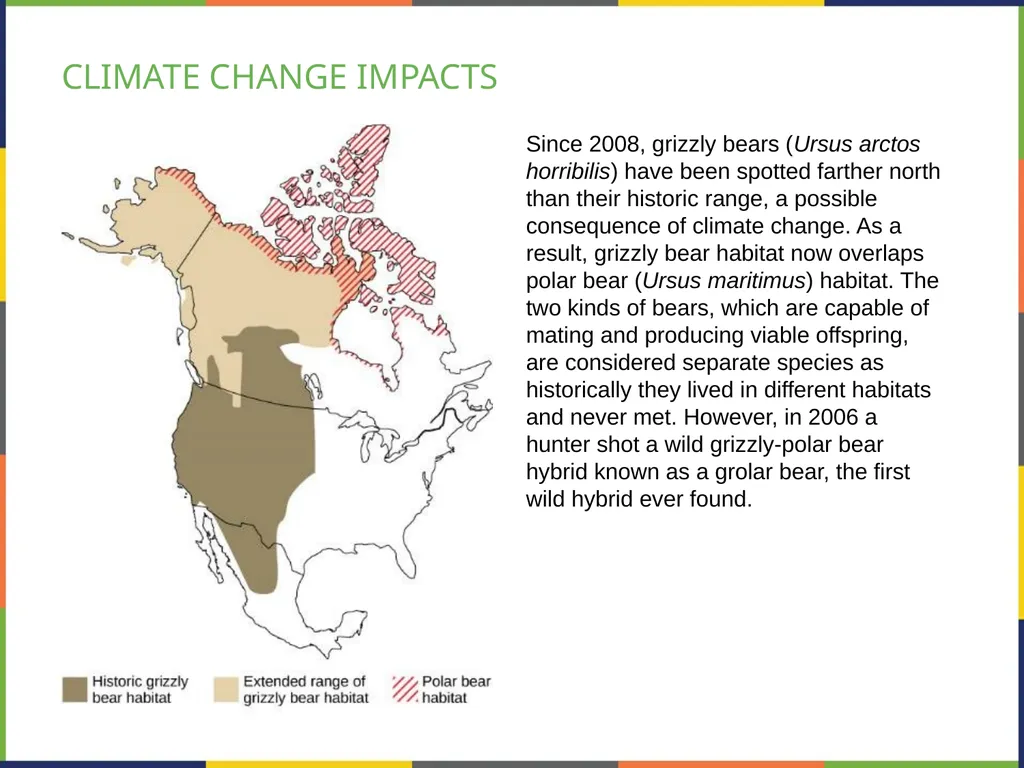 Chapter 47 CONSERVATION BIOLOGY AND BIODIVERSITY - slide 17 of 21