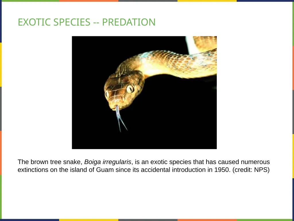 Chapter 47 CONSERVATION BIOLOGY AND BIODIVERSITY - slide 15 of 21