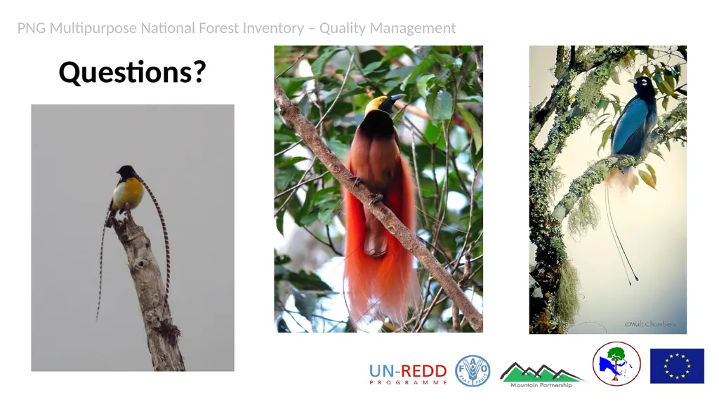 PNG Multipurpose National Forest Inventory Quality - slide 15 of 15