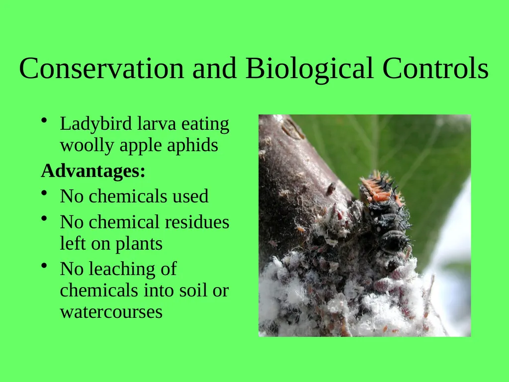 1.4.9 Human Impact on an Ecosystem 2 Conservation - slide 17 of 44