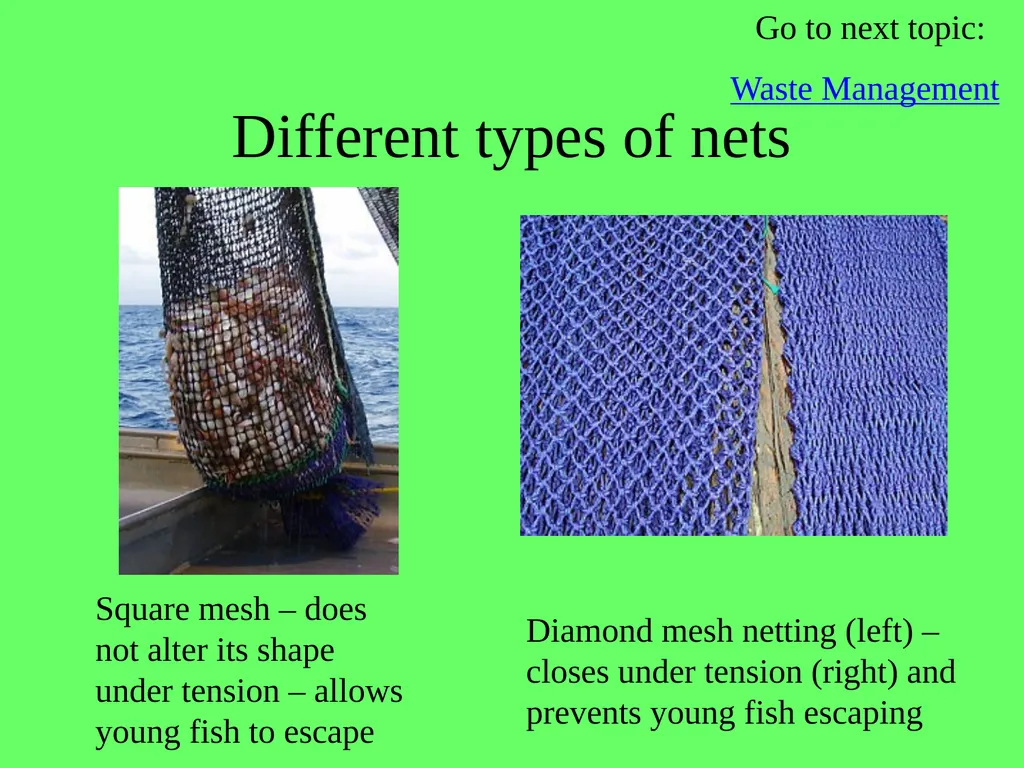 1.4.9 Human Impact on an Ecosystem 2 Conservation - slide 29 of 44