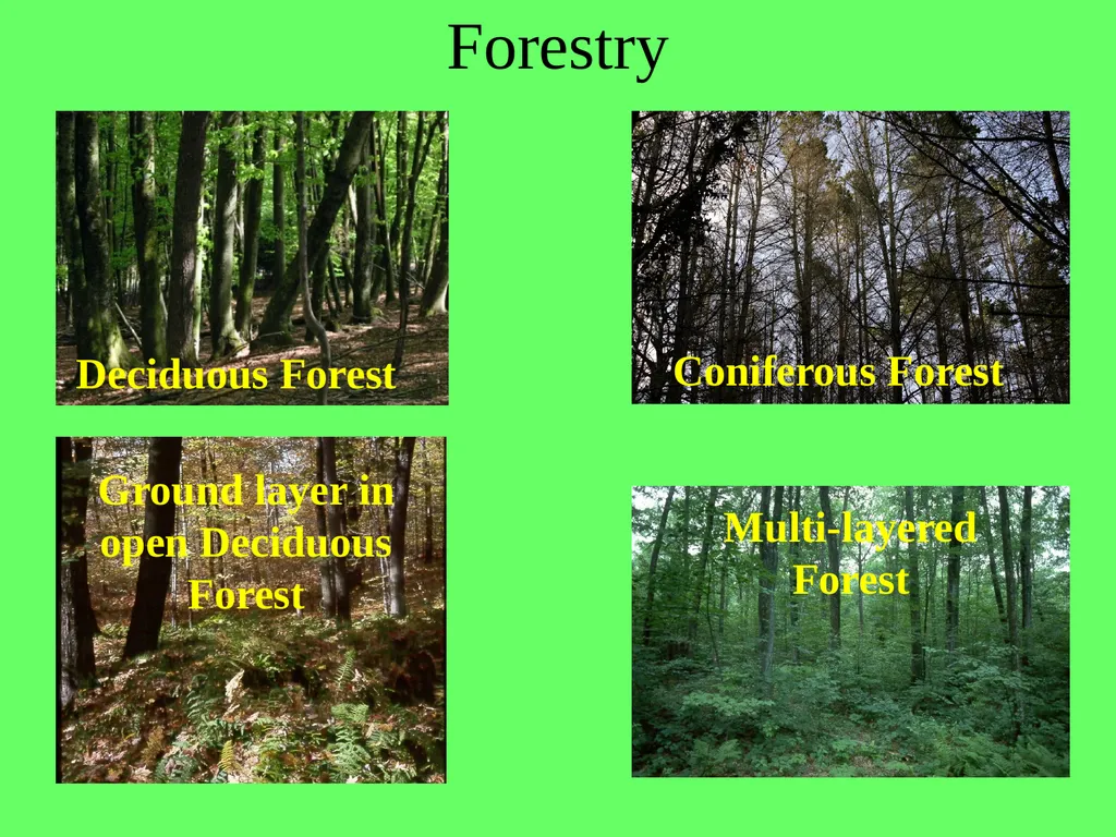 1.4.9 Human Impact on an Ecosystem 2 Conservation - slide 36 of 44