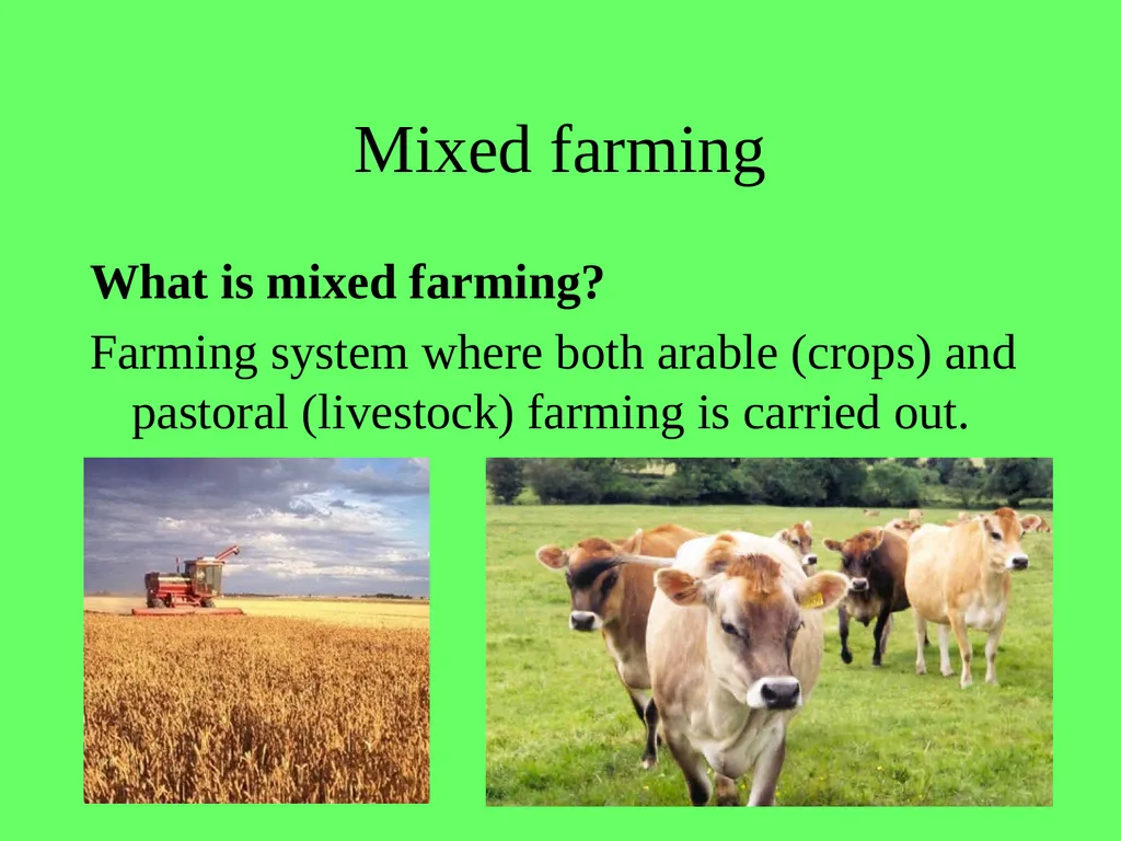 1.4.9 Human Impact on an Ecosystem 2 Conservation - slide 12 of 44