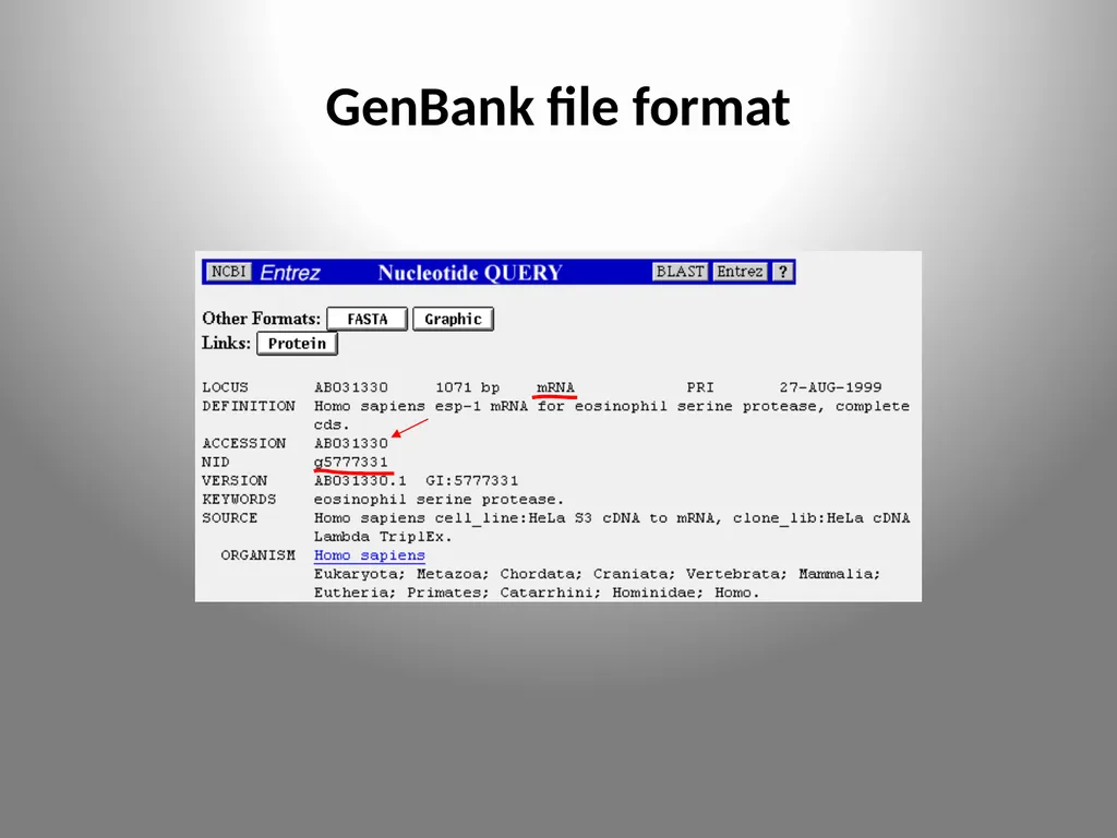 BIOINFORMATICS DATABASES UNIT IV DATABASE A - slide 13 of 38